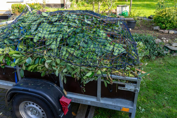 Recycling Services for Junk in Harrogate, TN